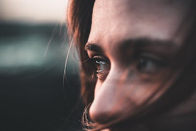 pexels-photo-986740.jpeg